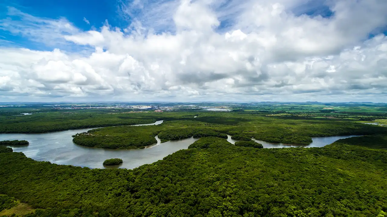 Aerial Shot of Amazon rainforest in Brazil, South America